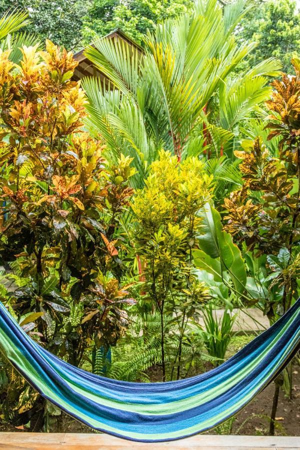 Relax Natural Village Adults Only Puerto Viejo de Talamanca Exteriör bild