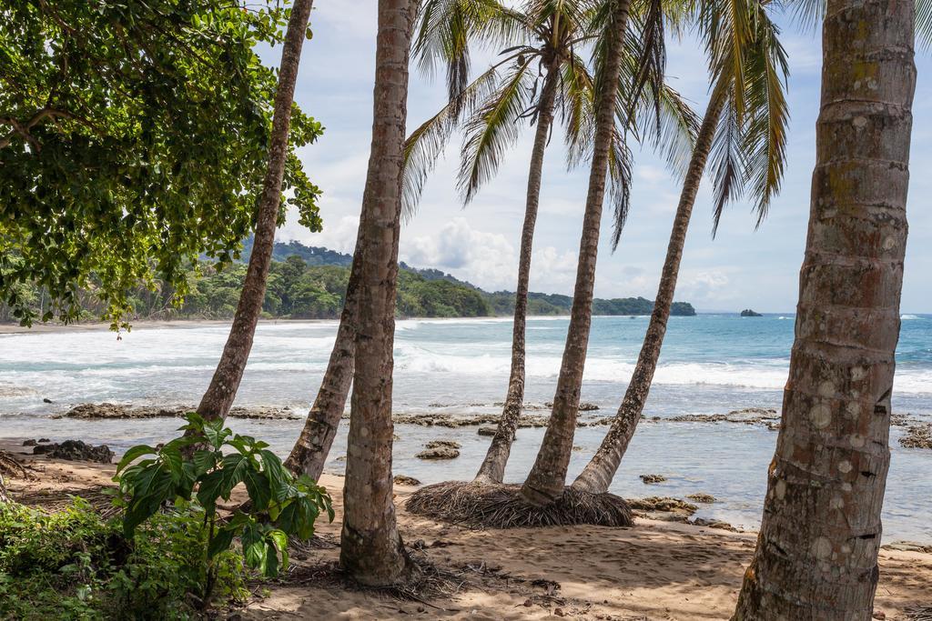 Relax Natural Village Adults Only Puerto Viejo de Talamanca Exteriör bild
