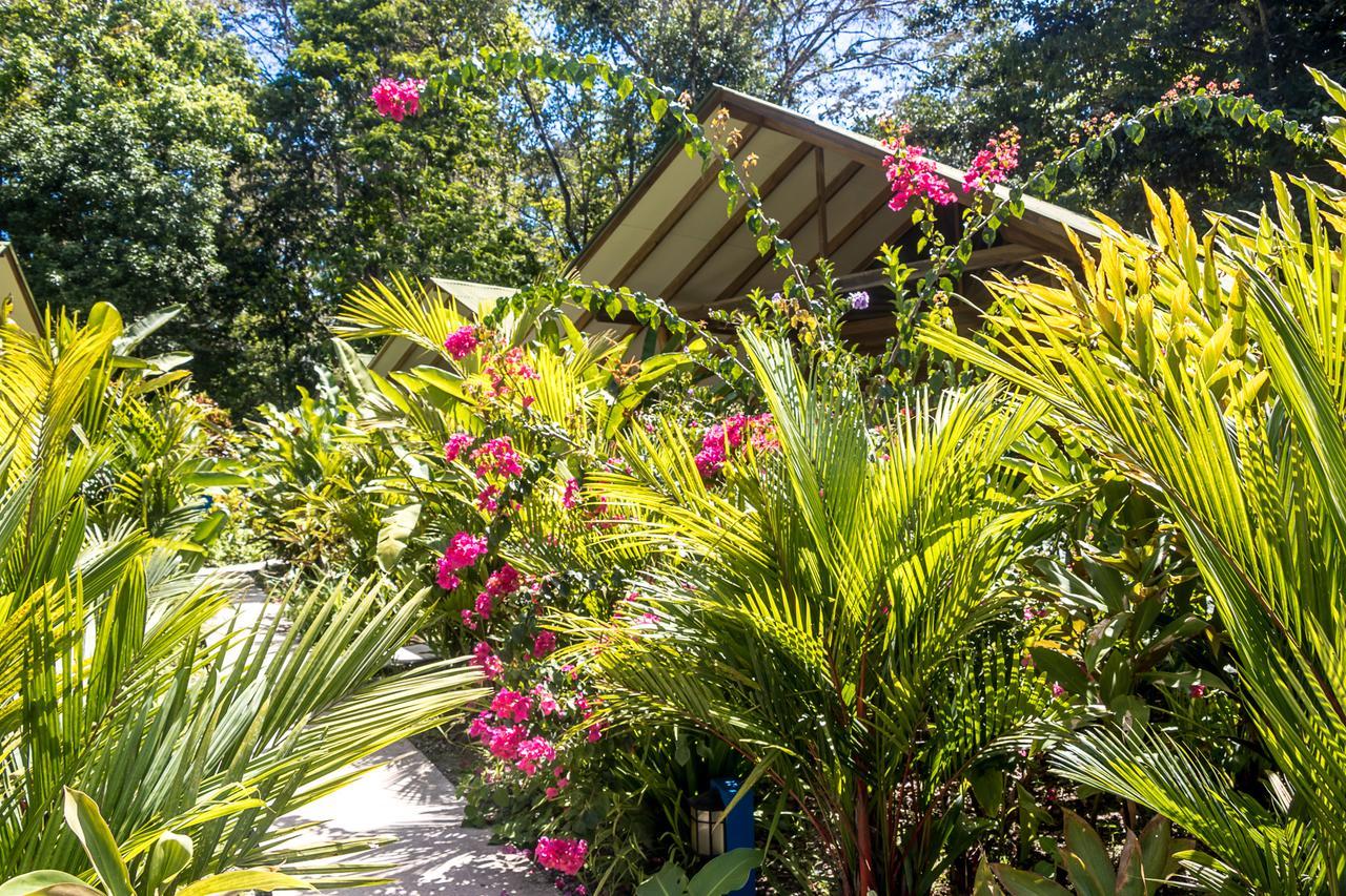 Relax Natural Village Adults Only Puerto Viejo de Talamanca Exteriör bild